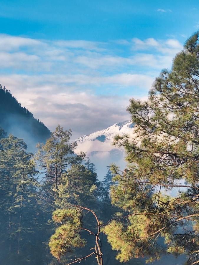 Bed and Breakfast Free Culture, Chalal Kasol Exterior foto